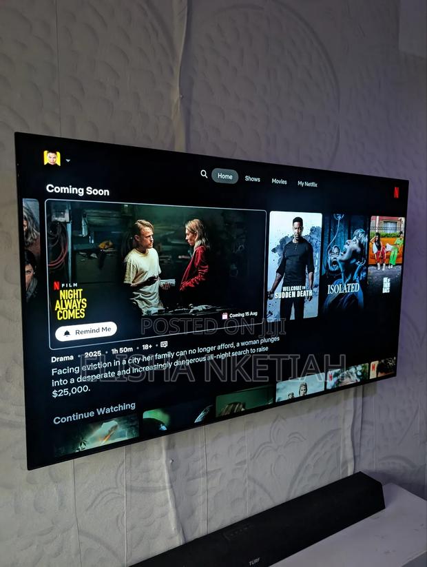 Netflix Account Premium - 6 Month Subscription · Photo 4