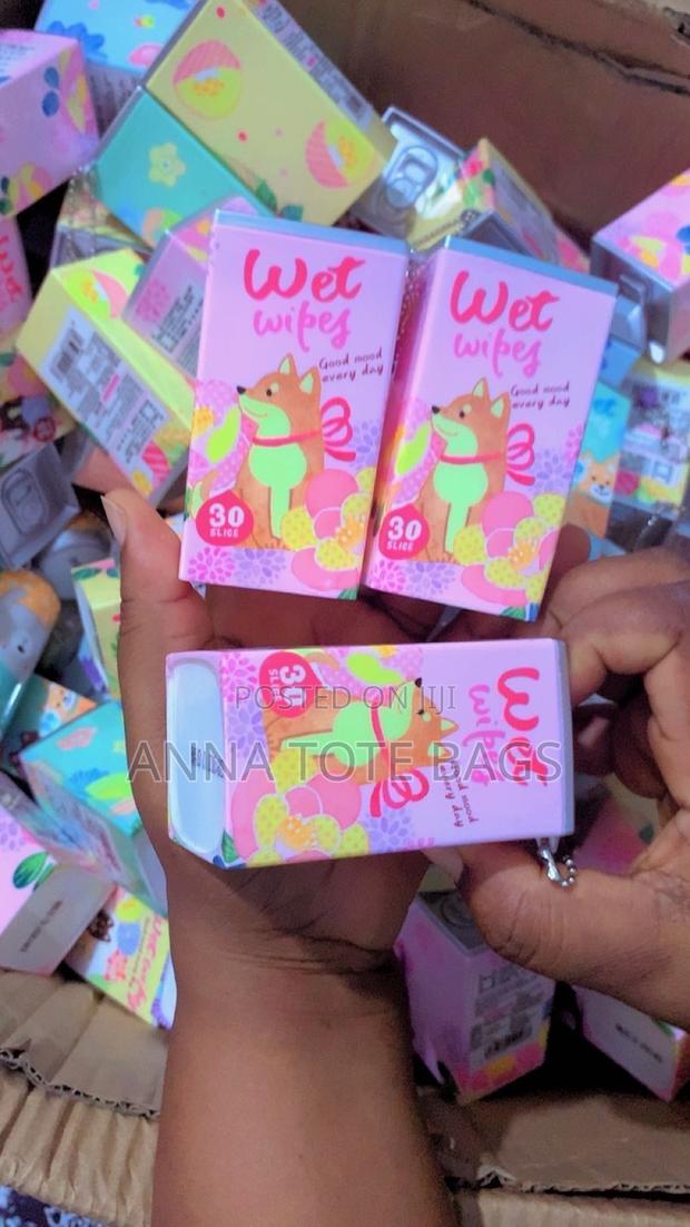 Can Wet Wipe Wholesale photo 3