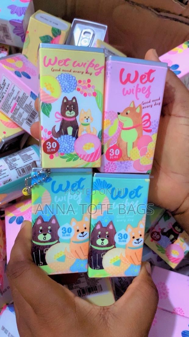 Can Wet Wipe Wholesale photo 4
