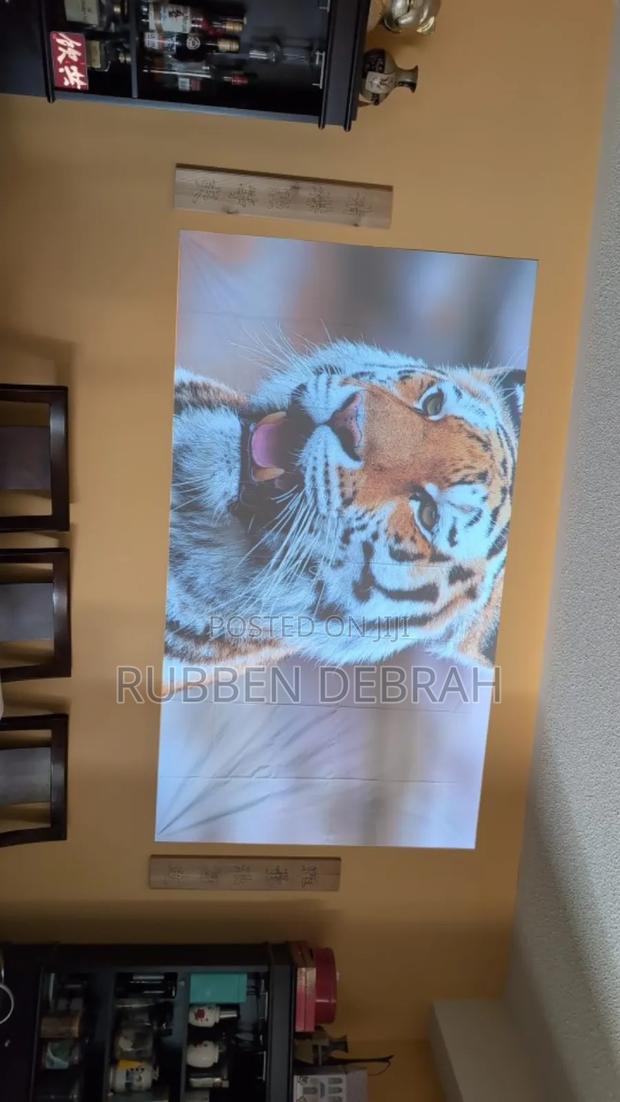 Projector Cloth Screen photo 3