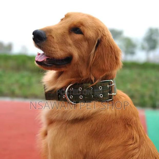 Nylon Collar · Photo 3