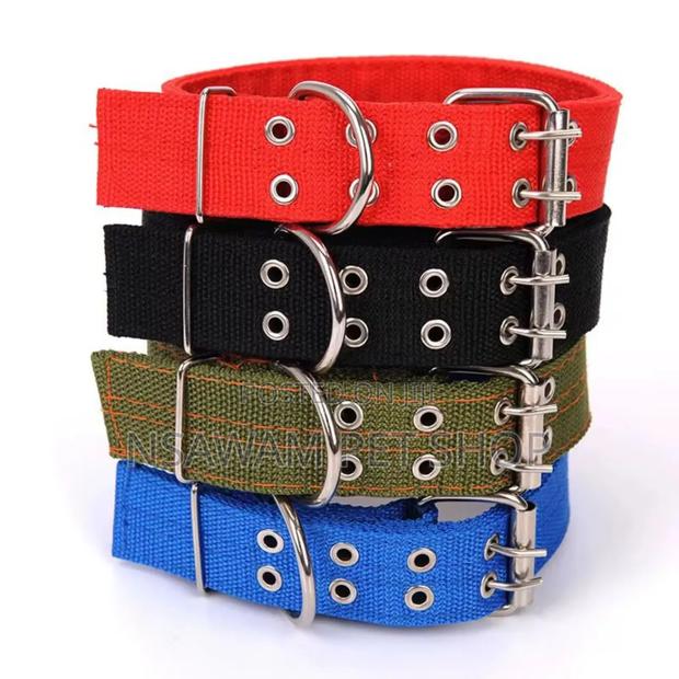 Nylon Collar · Photo 4