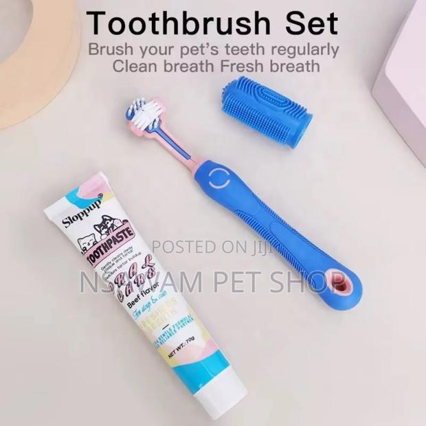 Dog Tooth Brush · Photo 4