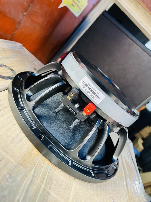 10 Inches Naked Speaker · Photo 4