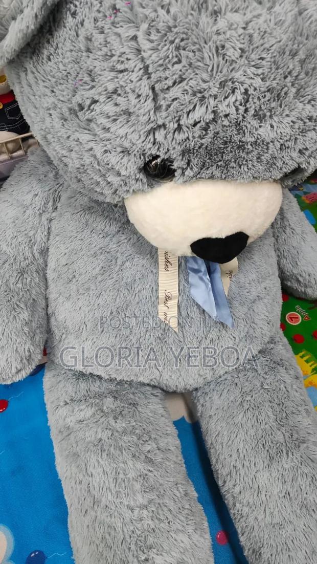 Teddy Bear · Photo 2