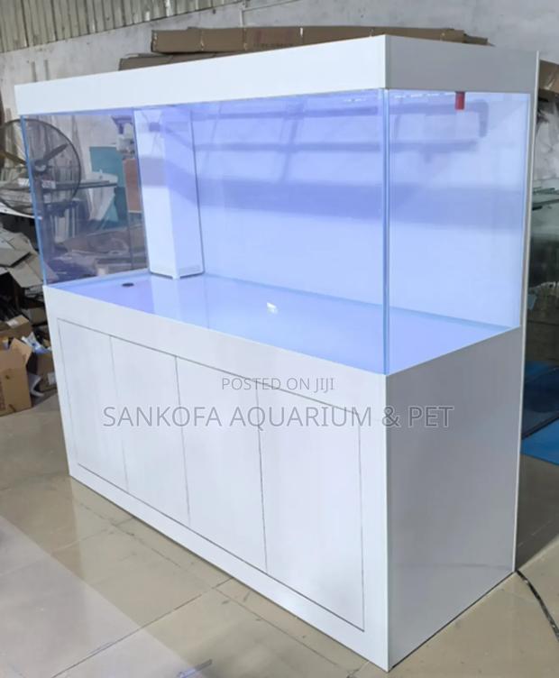 Aquarium Furniture Installation · Photo 2