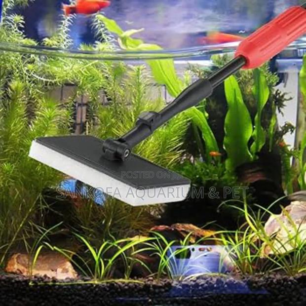 Aquarium Maintenance Servicing · Photo 4