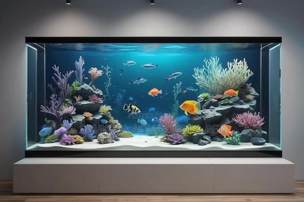 We Build Wall Units Aquarium · Photo 3