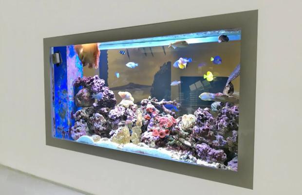 We Build Wall Units Aquarium · Photo 4