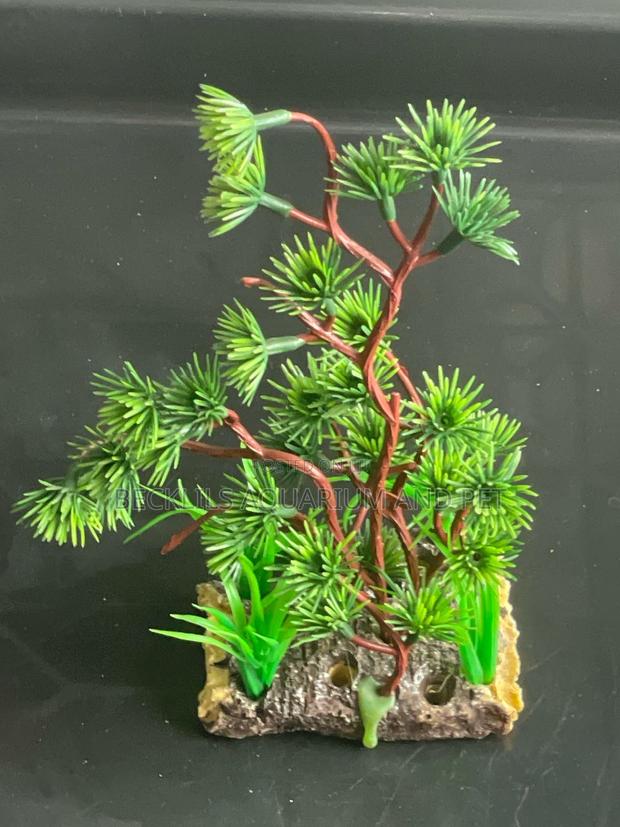Thick Stand Aquarium Plant · Photo 2