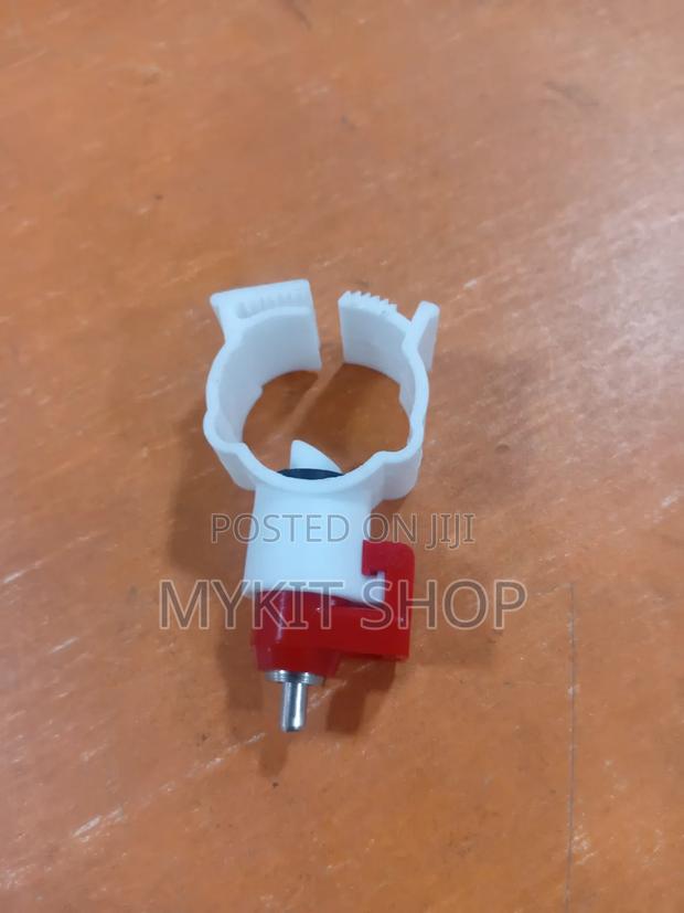Chicken Nipple(Cn04) · Photo 2