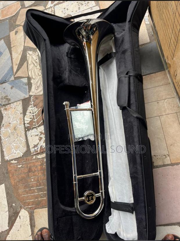 Professional Trombone · Photo 2