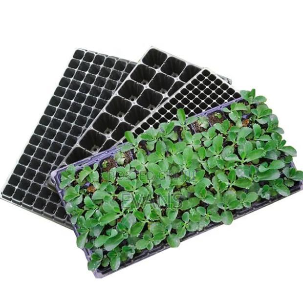 Seed Trays · Photo 2