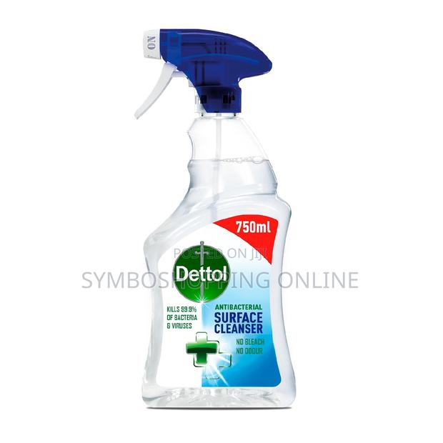 Dettol Antibacterial Spray Surface Cleanser 750 Ml photo 2