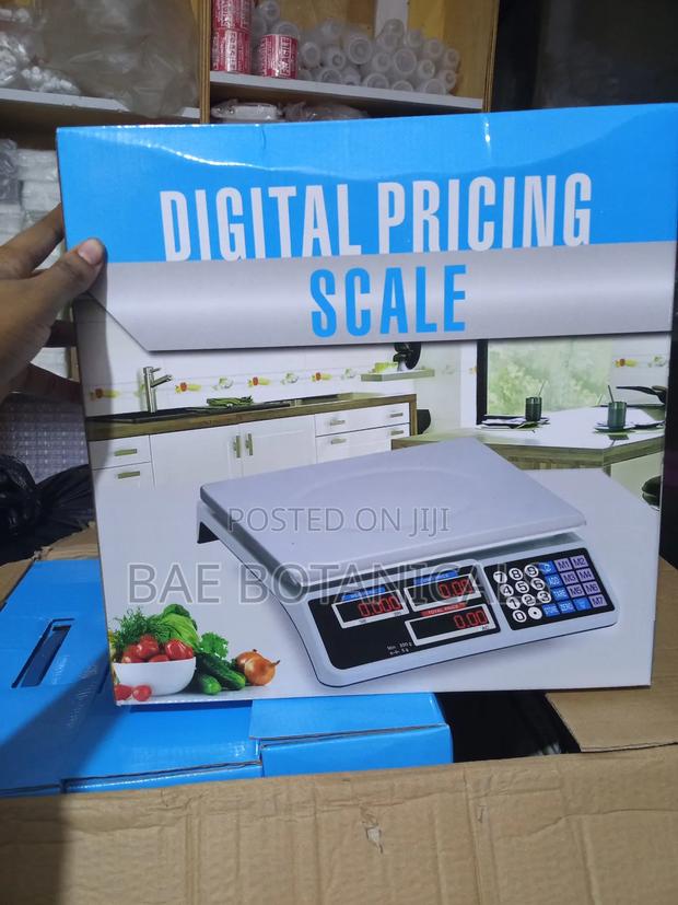 Digital Pricing Computing Scale (40kg)