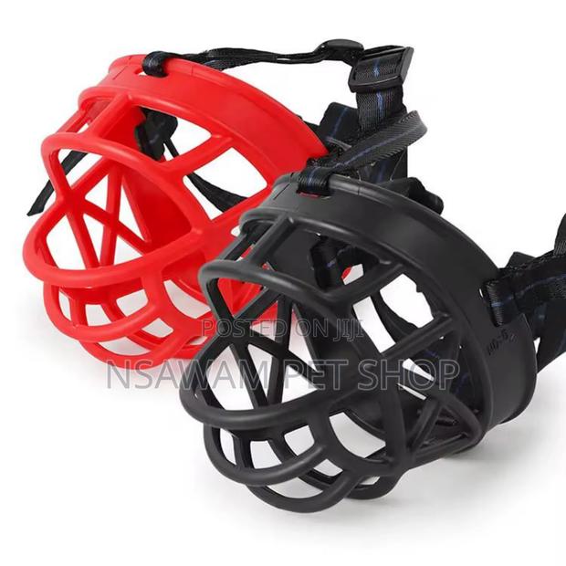 Dog Muzzle · Photo 3