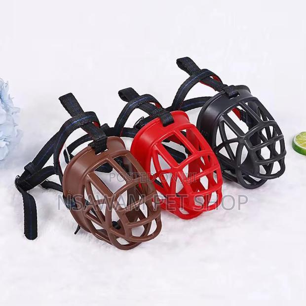Dog Muzzle · Photo 4