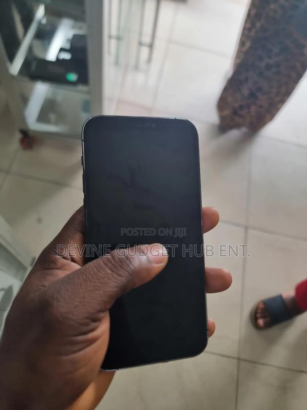 Apple iPhone 12 Pro 256 GB Gray photo 2