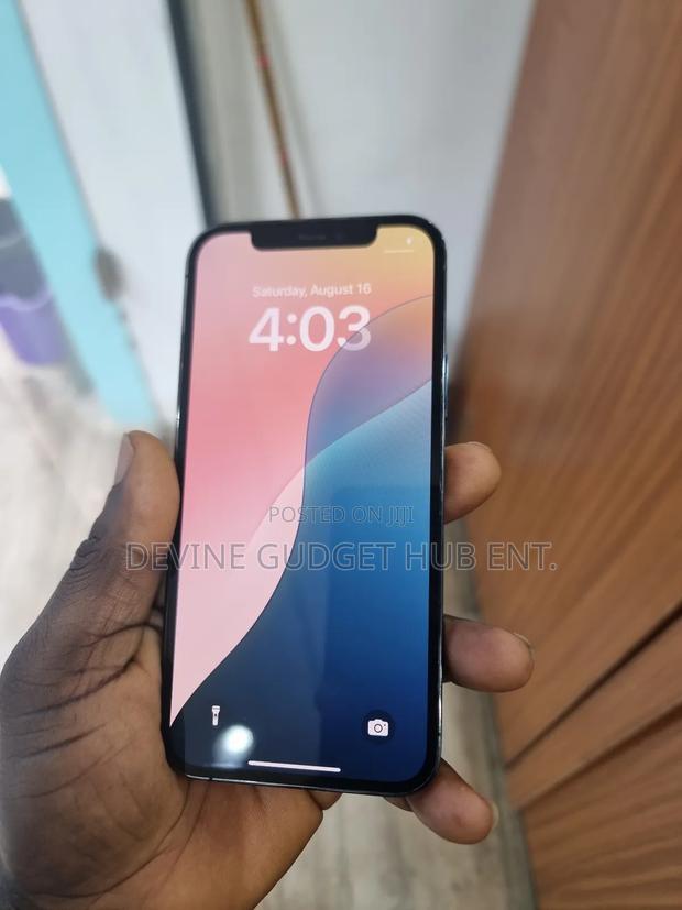 Apple iPhone 12 Pro 256 GB Blue photo 2