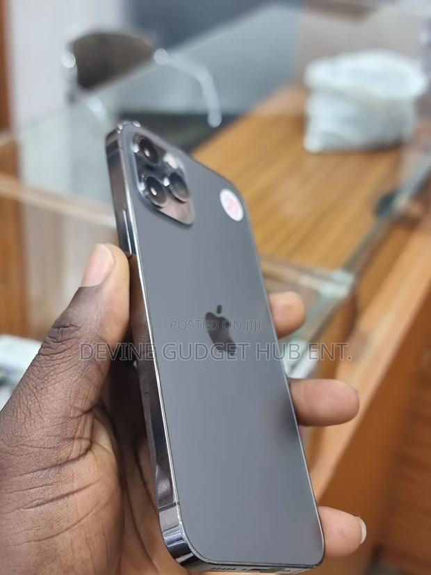 Apple iPhone 12 Pro 256 GB Gray photo 2