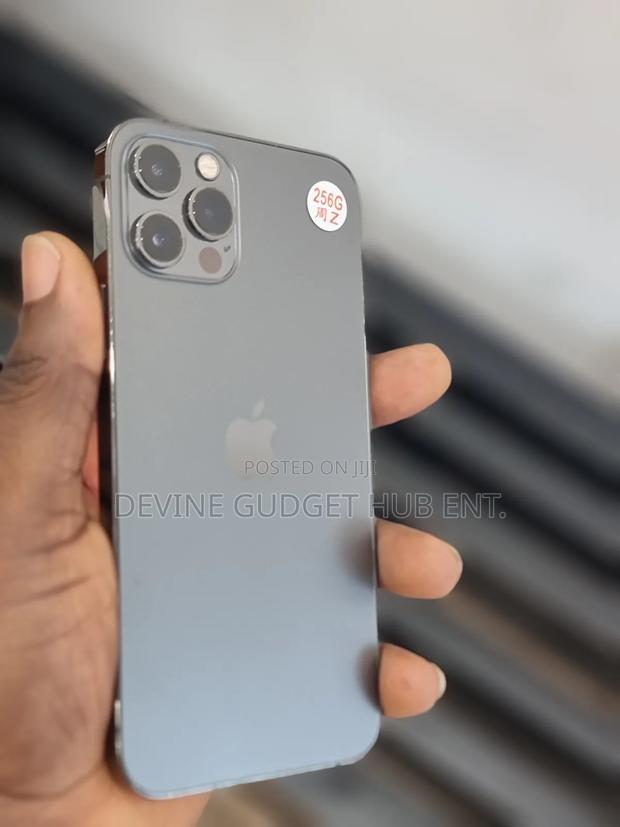 Apple iPhone 12 Pro 256 GB Gray