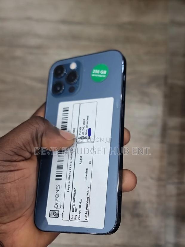 Apple iPhone 12 Pro 256 GB Blue photo 3