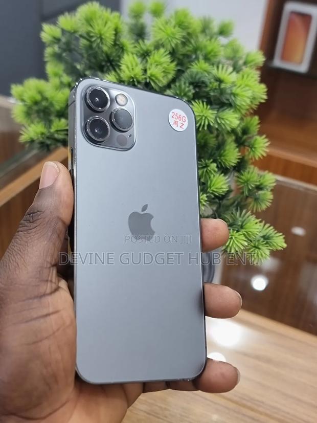 Apple iPhone 12 Pro 256 GB Gray