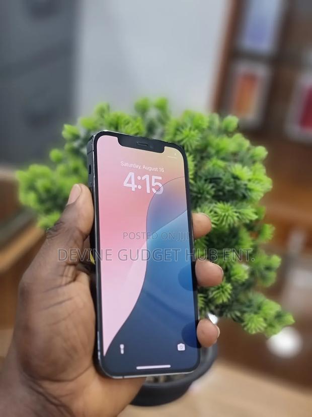 Apple iPhone 12 Pro 256 GB Blue photo 2