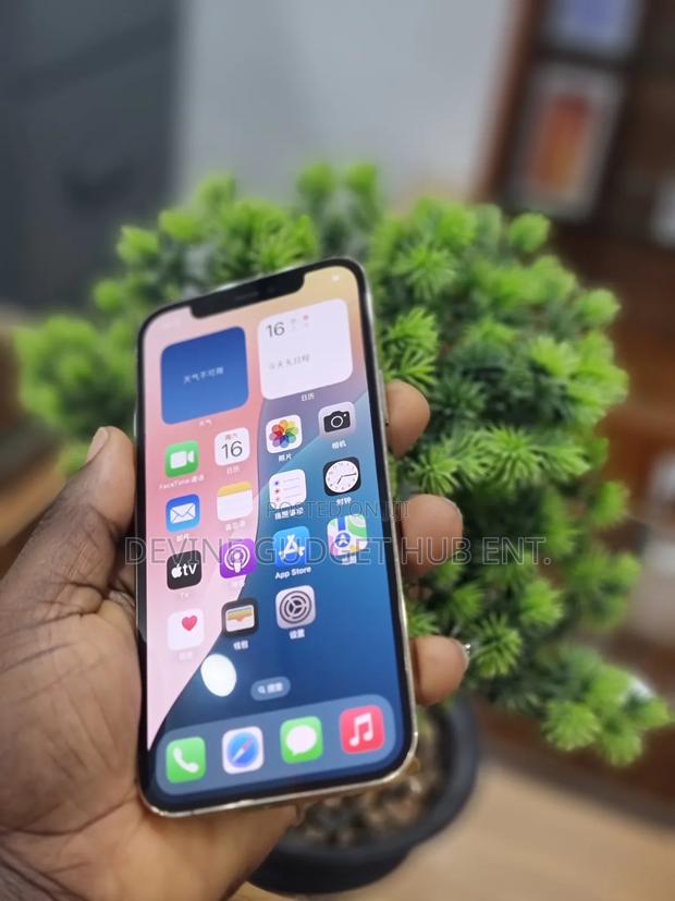 Apple iPhone 12 Pro 256 GB Gold photo 2
