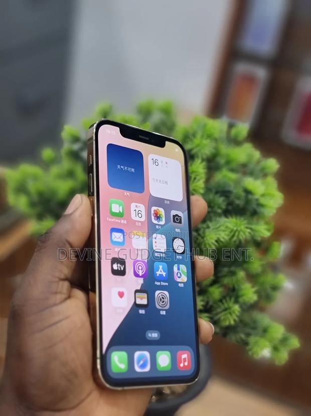 Apple iPhone 12 Pro 256 GB Gold photo 3