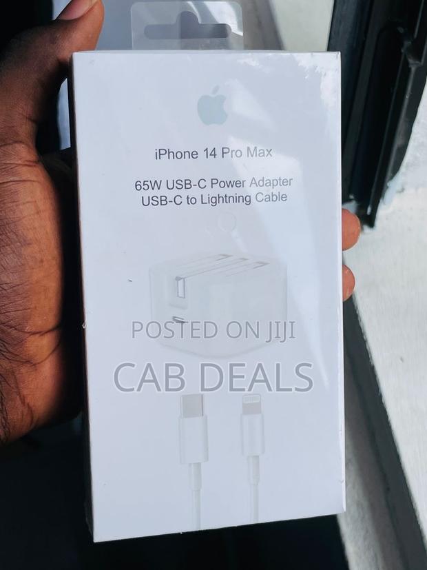 Original iPhone Charger (Cable and Head)