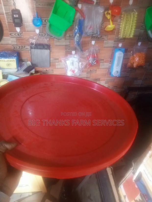Day Old Feeding Trays · Photo 3