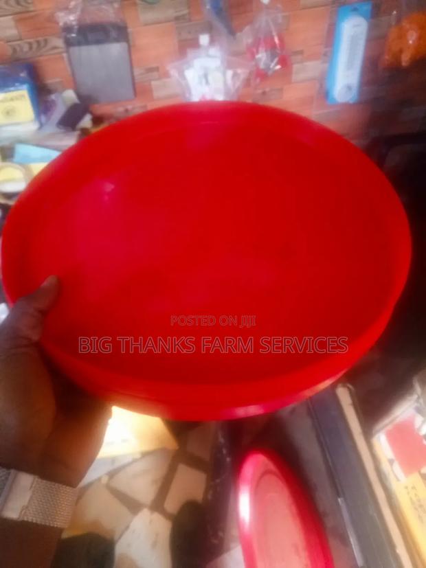 Day Old Feeding Trays · Photo 4