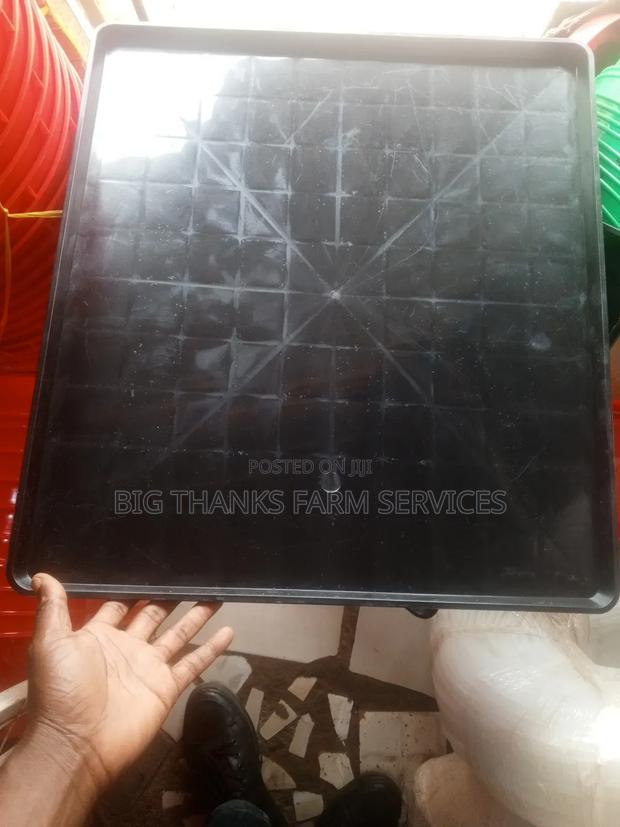 Trays For Day Old Chicks,Big Size · Photo 2