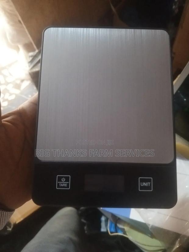 Scales For Weighing Animals And Stuffs Available · Photo 3