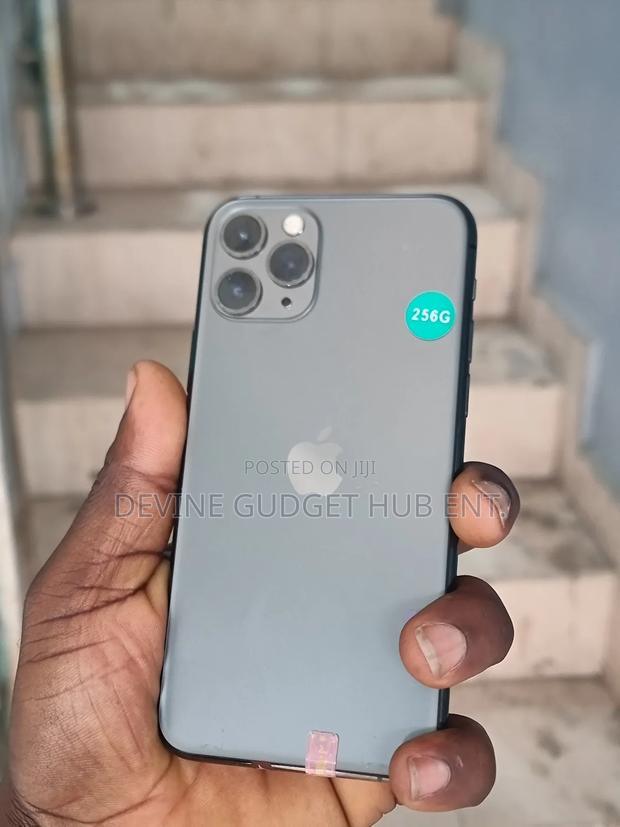 Apple iPhone 11 Pro 256 GB Gray photo 3