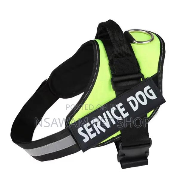 Police Harness · Photo 4
