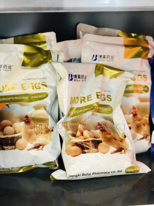 More Eggs ( Dihydropyridine Premix ) photo 2