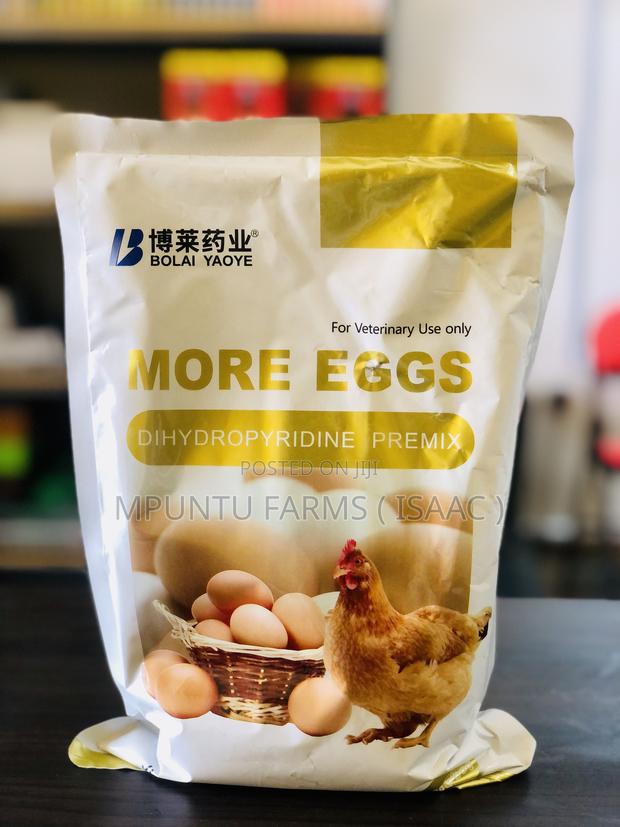 More Eggs ( Dihydropyridine Premix )