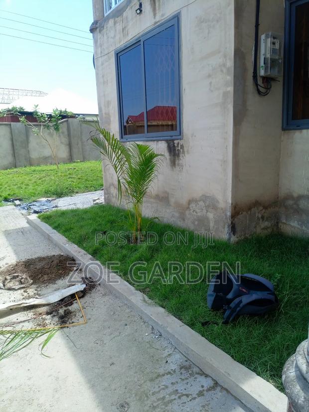 Landscape And Gardening Service photo 3