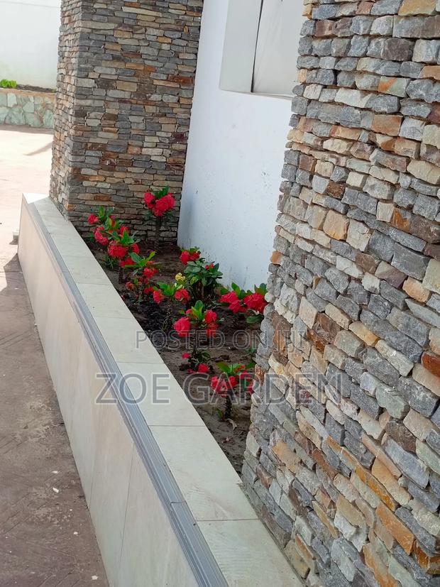 Landscape And Gardening Service photo 4