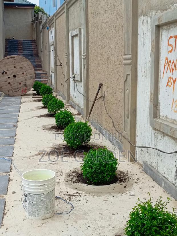 Landscape And Gardening Service photo 5