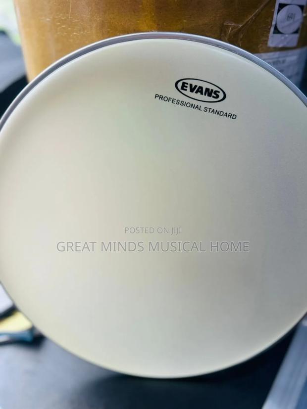 Evans Coated Snare Drum Skin · Photo 3