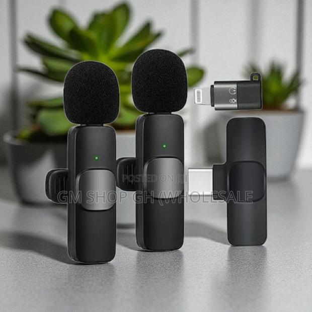 Long Battery Life 2 in 1 Wireless Microphone (677567) · Photo 3