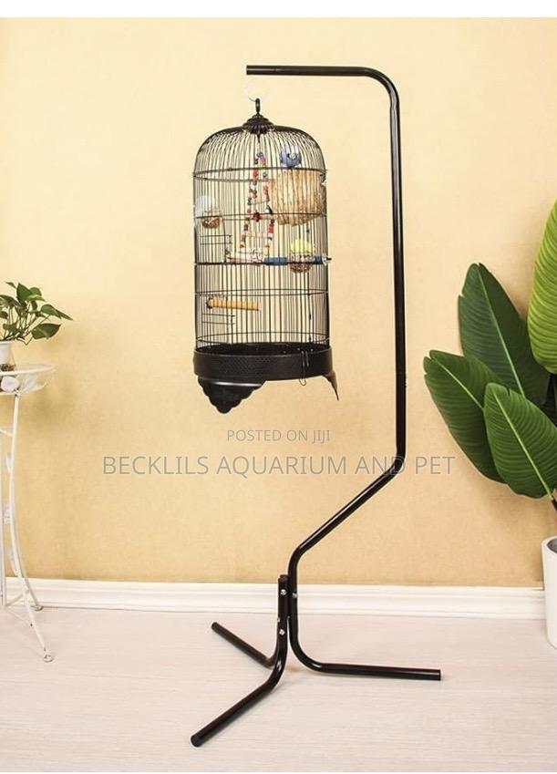 Noel’S Long Birdcage · Photo 4