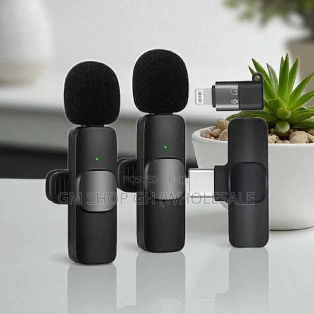 2 in 1 Wireless Microphone With Long Battery Life (35688) · Photo 3
