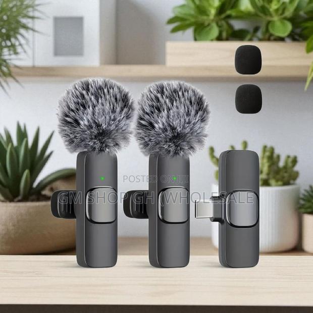 Long Battery Life All in 1 Microphone (46896) · Photo 3