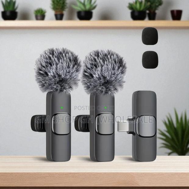 All in 1 Wireless Microphone (35778) · Photo 4