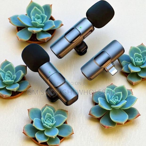 Original All in 1 Wireless Microphone (654678) · Photo 3
