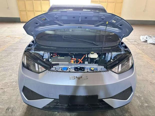 New BYD Seagull 2025 Blue photo 10
